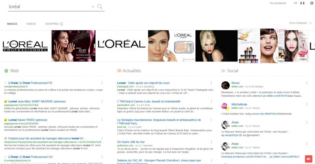 requete loreal sur qwant